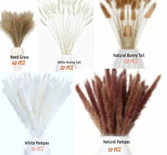 High-quality pampas grass pieces for DIY arrangements.