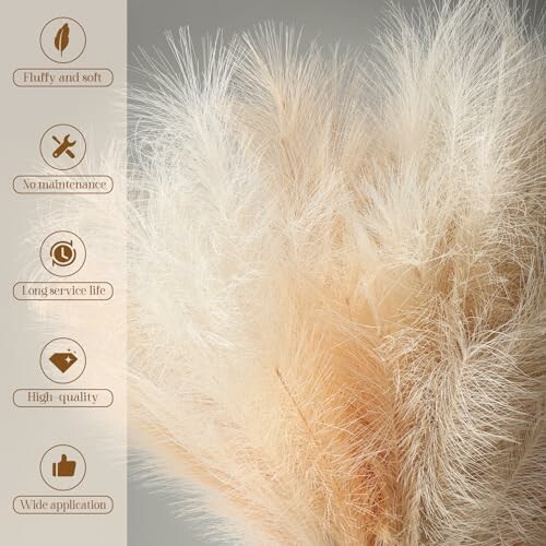 Close-up of fluffy pampas grass with benefits listed: fluffy and soft, no maintenance, long service life, high quality, wide application.