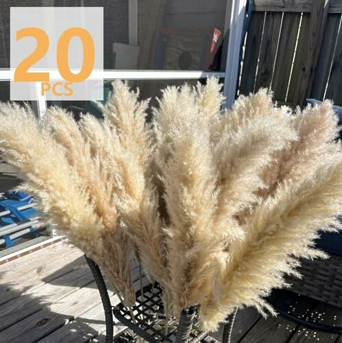 Bouquet of 20 pampas grass stems on a chair.