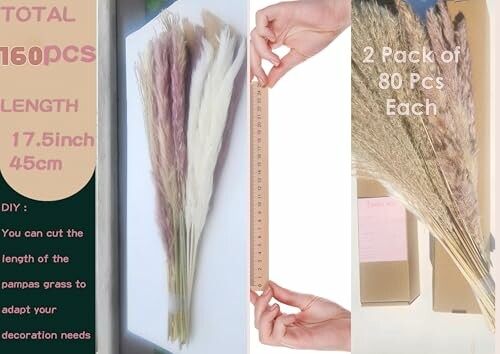 Pampas grass bundle with measurement and packaging details.