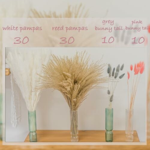 Vases with white pampas, reed pampas, grey and pink bunny tail grasses. Create stunning arrangements with the 80 Pcs Dried Pampas Grass Decor!