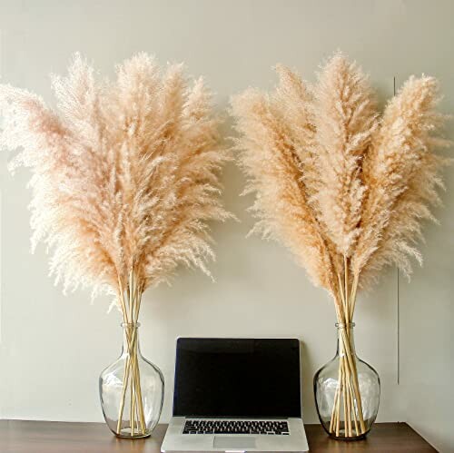 Pampas grass in glass vases beside a laptop on a table.