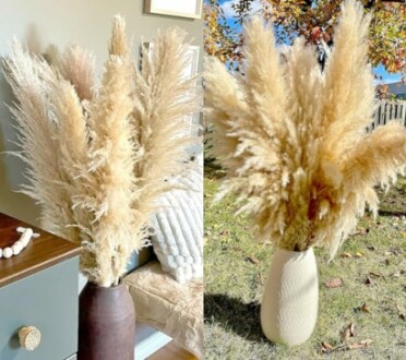 40" inch 20 Stems Natural Pampas Grass Decor Tall