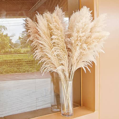 Pampas grass in a clear vase by a window.