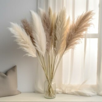 Pampas Grass Tall